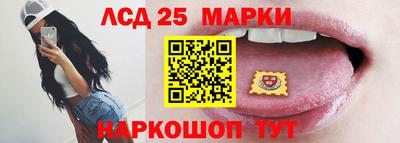 СК Обь