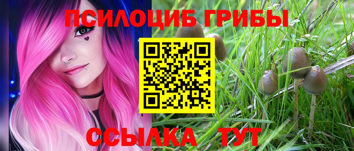 Псилоцибиновые грибы GOLDEN TEACHER  Вход с VPN  Тимашёвск 
