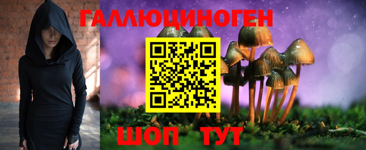 Галлюциногенные грибы прущие грибы Тимашёвск